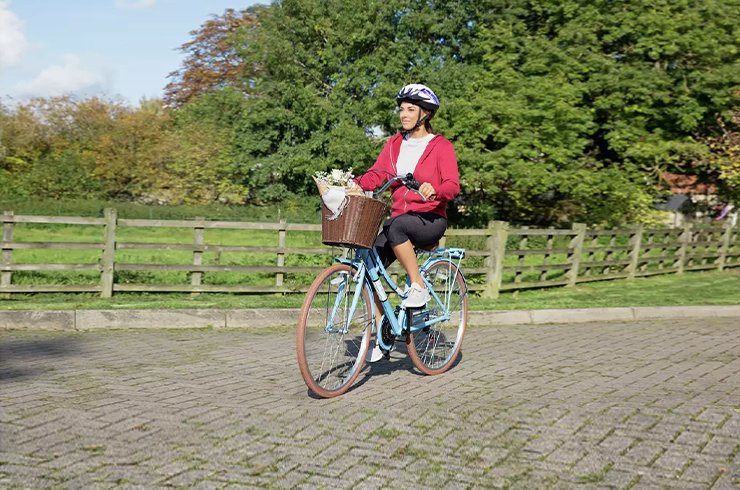Argos top bike trailer